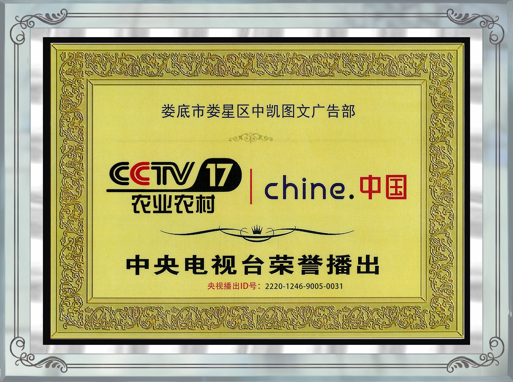 CCTV17.jpg